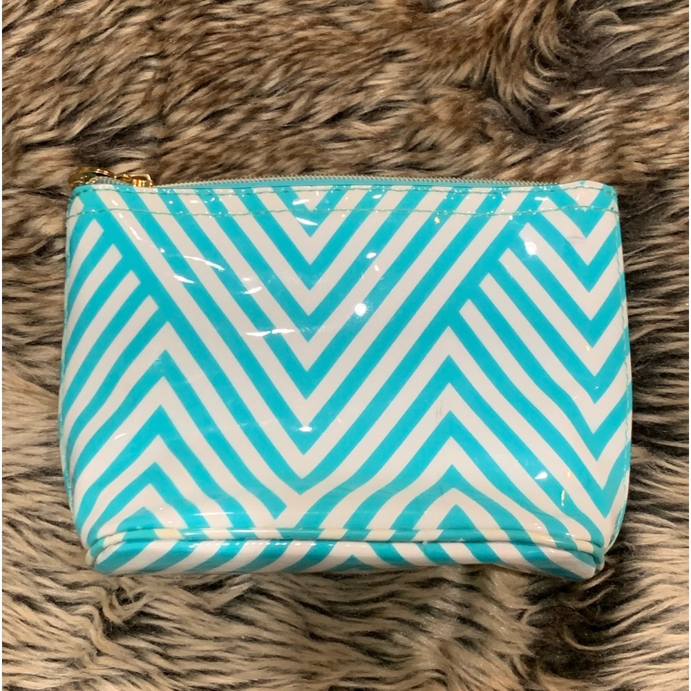 Dabney Lee Aqua Blue Chevron Zipper Toiletry Make Up Bag/Cosmetic Case!